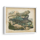 Natures Reuniendo Vi - John Wiek | Cuadro decorativo de Canvas Lab