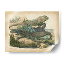 Natures Reuniendo Vi - John Wiek | Cuadro decorativo de Canvas Lab