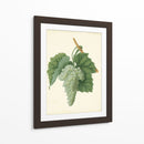Vuelas De Plantación Ii | Cuadro decorativo de Canvas Lab