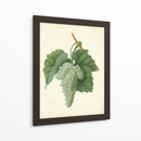 Vuelas De Plantación Ii | Cuadro decorativo de Canvas Lab