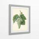 Vuelas De Plantación Ii | Cuadro decorativo de Canvas Lab