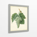 Vuelas De Plantación Ii | Cuadro decorativo de Canvas Lab