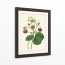Plantación De Fresas I | Cuadro decorativo de Canvas Lab