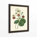 Plantación De Fresas I | Cuadro decorativo de Canvas Lab