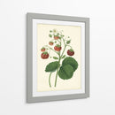 Plantación De Fresas I | Cuadro decorativo de Canvas Lab