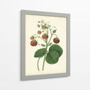 Plantación De Fresas I | Cuadro decorativo de Canvas Lab