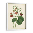 Plantación De Fresas I | Cuadro decorativo de Canvas Lab