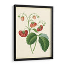 Plantación De Fresas Ii | Cuadro decorativo de Canvas Lab