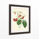 Plantación De Fresas Ii | Cuadro decorativo de Canvas Lab