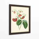 Plantación De Fresas Ii | Cuadro decorativo de Canvas Lab