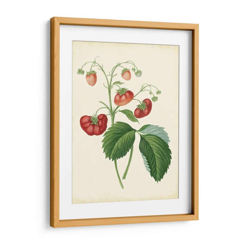 Plantación De Fresas Ii | Cuadro decorativo de Canvas Lab