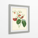 Plantación De Fresas Ii | Cuadro decorativo de Canvas Lab