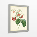Plantación De Fresas Ii | Cuadro decorativo de Canvas Lab