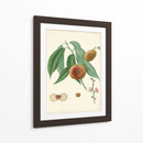 Plantación Melocotones Ii | Cuadro decorativo de Canvas Lab