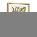 Rama De Árbol De Melocotón - Duhamel du Monceau | Cuadro decorativo de Canvas Lab