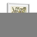 Rama De Árbol De Melocotón - Duhamel du Monceau | Cuadro decorativo de Canvas Lab