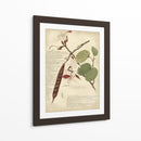 Descube Botanical Iii - A. Descubes | Cuadro decorativo de Canvas Lab