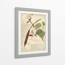 Descube Botanical Iii - A. Descubes | Cuadro decorativo de Canvas Lab