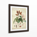 Descube Botánico V - A. Descubes | Cuadro decorativo de Canvas Lab