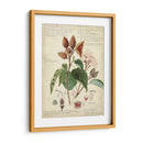 Descube Botánico V - A. Descubes | Cuadro decorativo de Canvas Lab