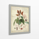 Descube Botánico V - A. Descubes | Cuadro decorativo de Canvas Lab