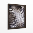 Fronda Plateada I - Emily Robinson | Cuadro decorativo de Canvas Lab