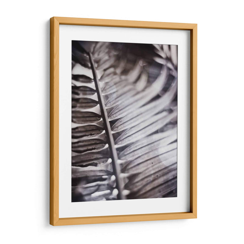 Fronda Plateada I - Emily Robinson | Cuadro decorativo de Canvas Lab