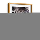 Fronda Plateada I - Emily Robinson | Cuadro decorativo de Canvas Lab