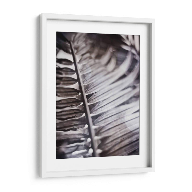 Fronda Plateada I - Emily Robinson | Cuadro decorativo de Canvas Lab