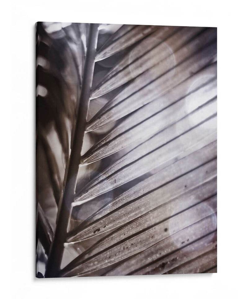 Frond Ii Plateado - Emily Robinson | Cuadro decorativo de Canvas Lab