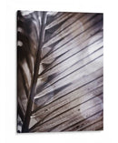 Frond Ii Plateado - Emily Robinson | Cuadro decorativo de Canvas Lab