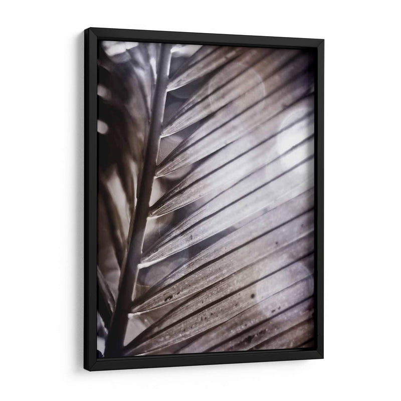 Frond Ii Plateado - Emily Robinson | Cuadro decorativo de Canvas Lab