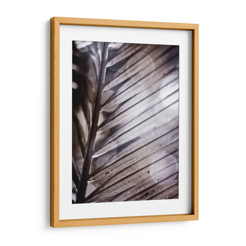 Frond Ii Plateado - Emily Robinson | Cuadro decorativo de Canvas Lab