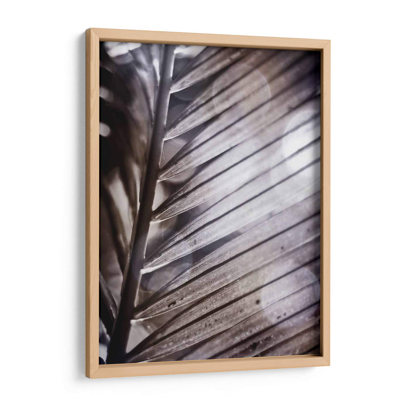 Frond Ii Plateado - Emily Robinson | Cuadro decorativo de Canvas Lab