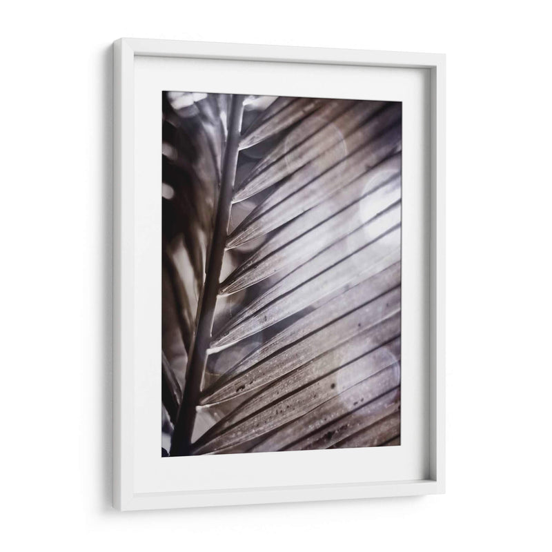 Frond Ii Plateado - Emily Robinson | Cuadro decorativo de Canvas Lab