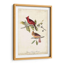 Cardinal Común Grosbeak - John James Audubon | Cuadro decorativo de Canvas Lab