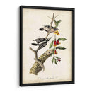 Pájaro Carpintero - John James Audubon | Cuadro decorativo de Canvas Lab