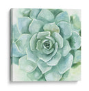 Verdant Suculento I - Victoria Borges | Cuadro decorativo de Canvas Lab