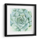 Verdant Suculento I - Victoria Borges | Cuadro decorativo de Canvas Lab