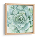 Verdant Suculento I - Victoria Borges | Cuadro decorativo de Canvas Lab