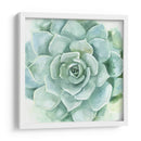 Verdant Suculento I - Victoria Borges | Cuadro decorativo de Canvas Lab