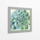 Verde Suculento Ii - Victoria Borges | Cuadro decorativo de Canvas Lab