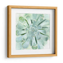 Verde Suculento Iv - Victoria Borges | Cuadro decorativo de Canvas Lab