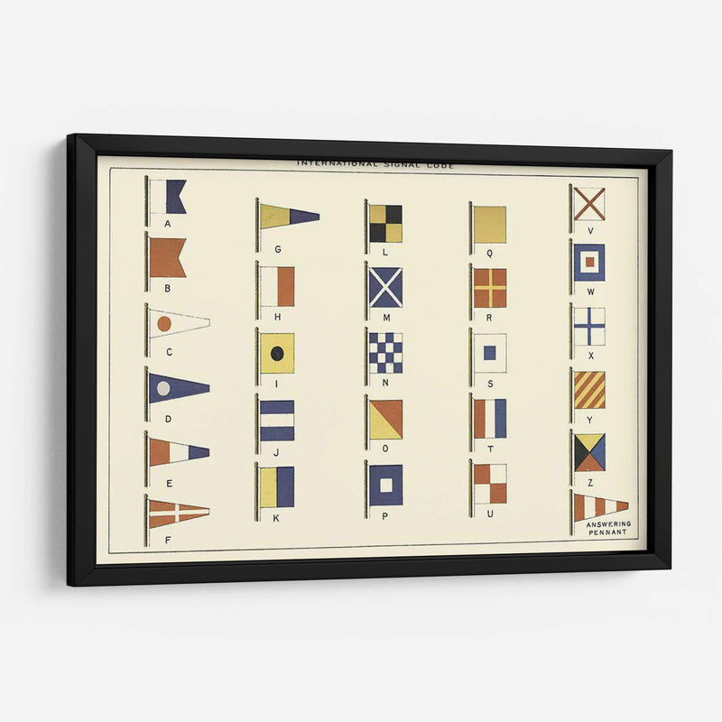 Nautilus Vi | Cuadro decorativo de Canvas Lab