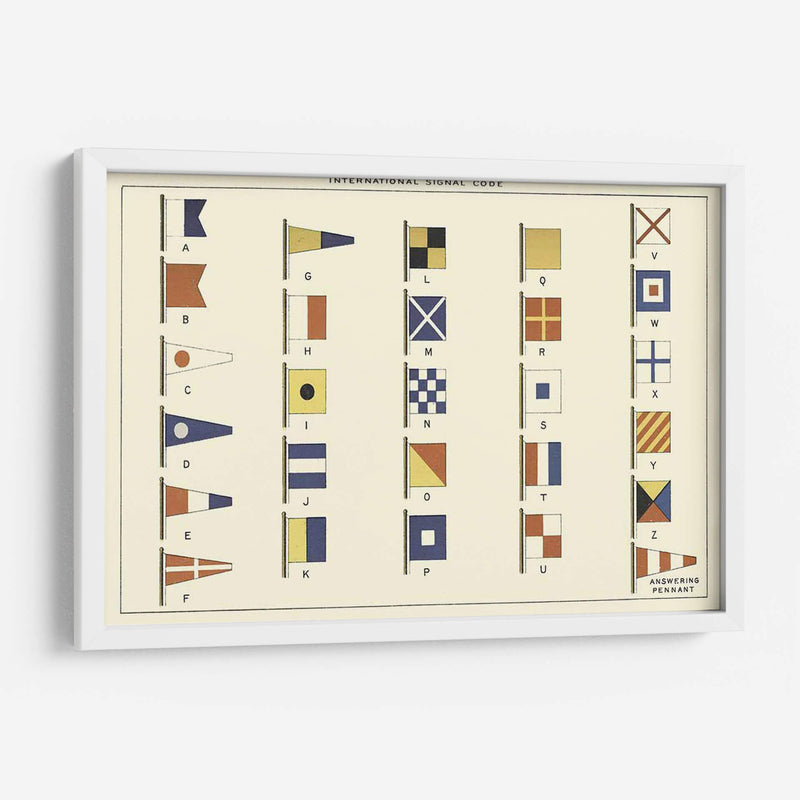 Nautilus Vi | Cuadro decorativo de Canvas Lab