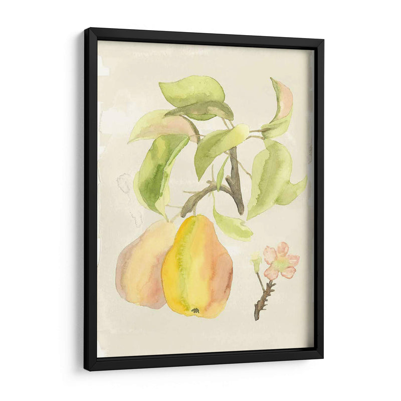 Acuarela Personalizada Fruta Iii (Ash) - Naomi McCavitt | Cuadro decorativo de Canvas Lab