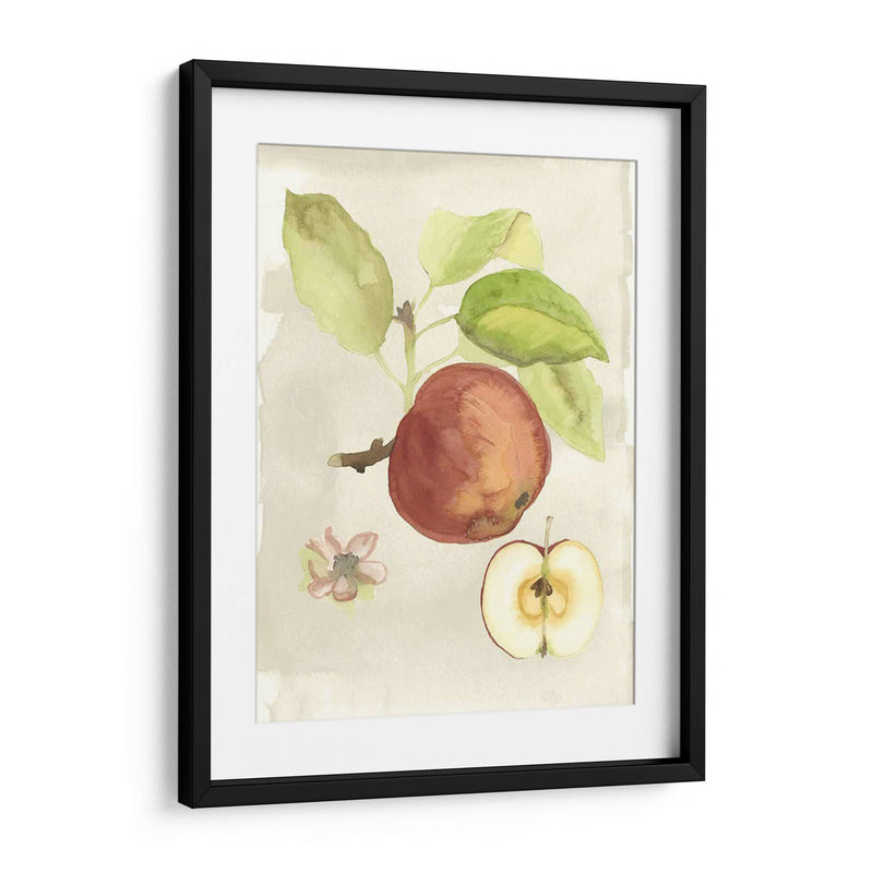 Acuarela Personalizada Fruta Iv (Ash) - Naomi McCavitt | Cuadro decorativo de Canvas Lab