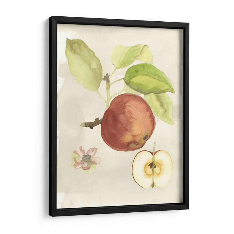 Acuarela Personalizada Fruta Iv (Ash) - Naomi McCavitt | Cuadro decorativo de Canvas Lab