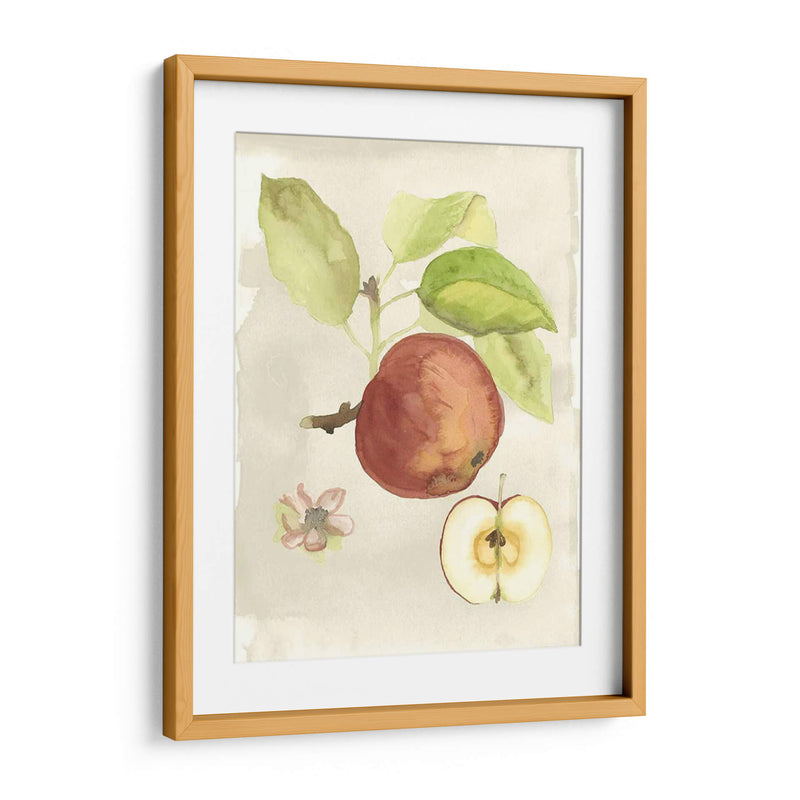 Acuarela Personalizada Fruta Iv (Ash) - Naomi McCavitt | Cuadro decorativo de Canvas Lab