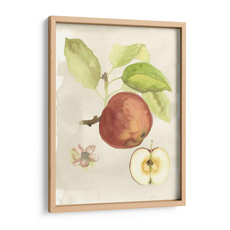 Acuarela Personalizada Fruta Iv (Ash) - Naomi McCavitt | Cuadro decorativo de Canvas Lab